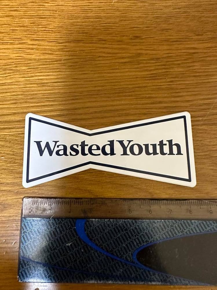 GREEN DAY × WASTED YOUTH XXL　ベージュ+ステッカー verdy is taking a stroll down the Boulevard of Broken Dreams